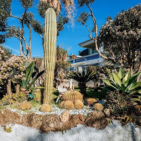 Appartamenti Ischia Casa Don Peppe Forio di Ischia Zewnętrze zdjęcie
