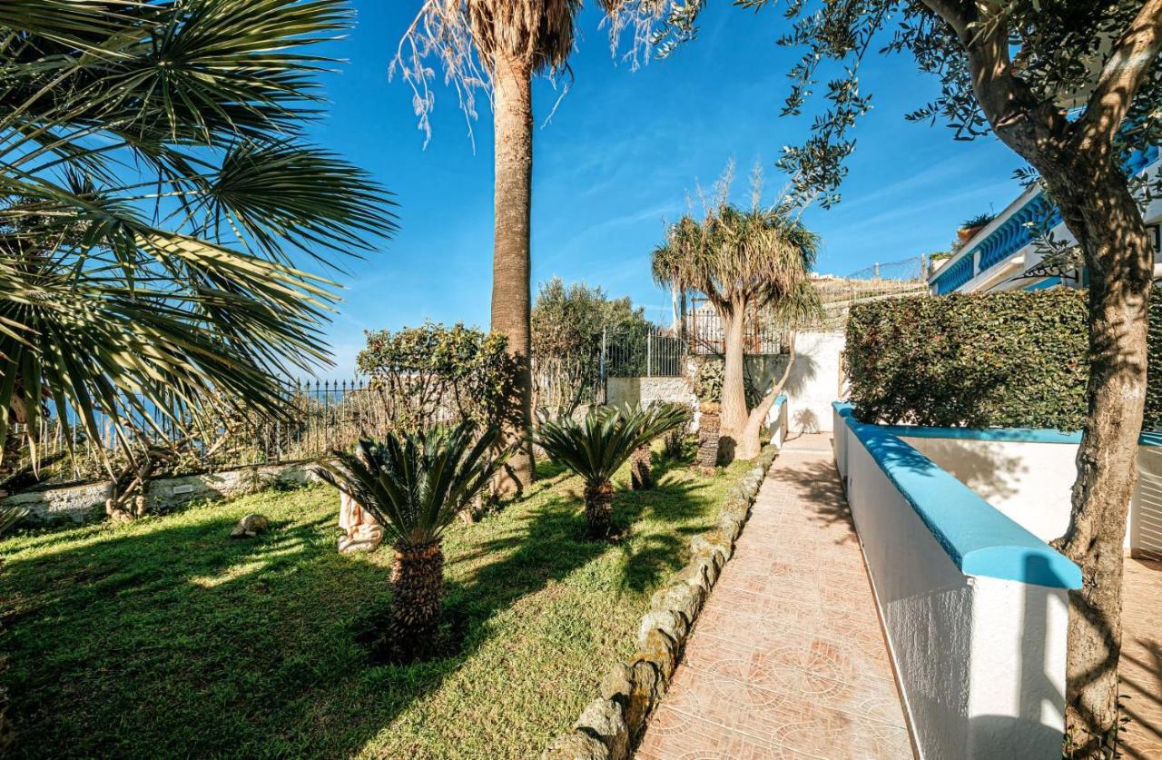 Appartamenti Ischia Casa Don Peppe Forio di Ischia Zewnętrze zdjęcie