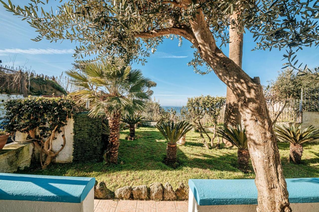 Appartamenti Ischia Casa Don Peppe Forio di Ischia Zewnętrze zdjęcie