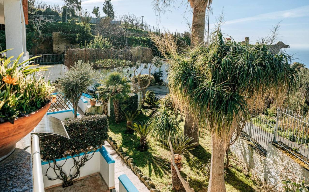 Appartamenti Ischia Casa Don Peppe Forio di Ischia Zewnętrze zdjęcie