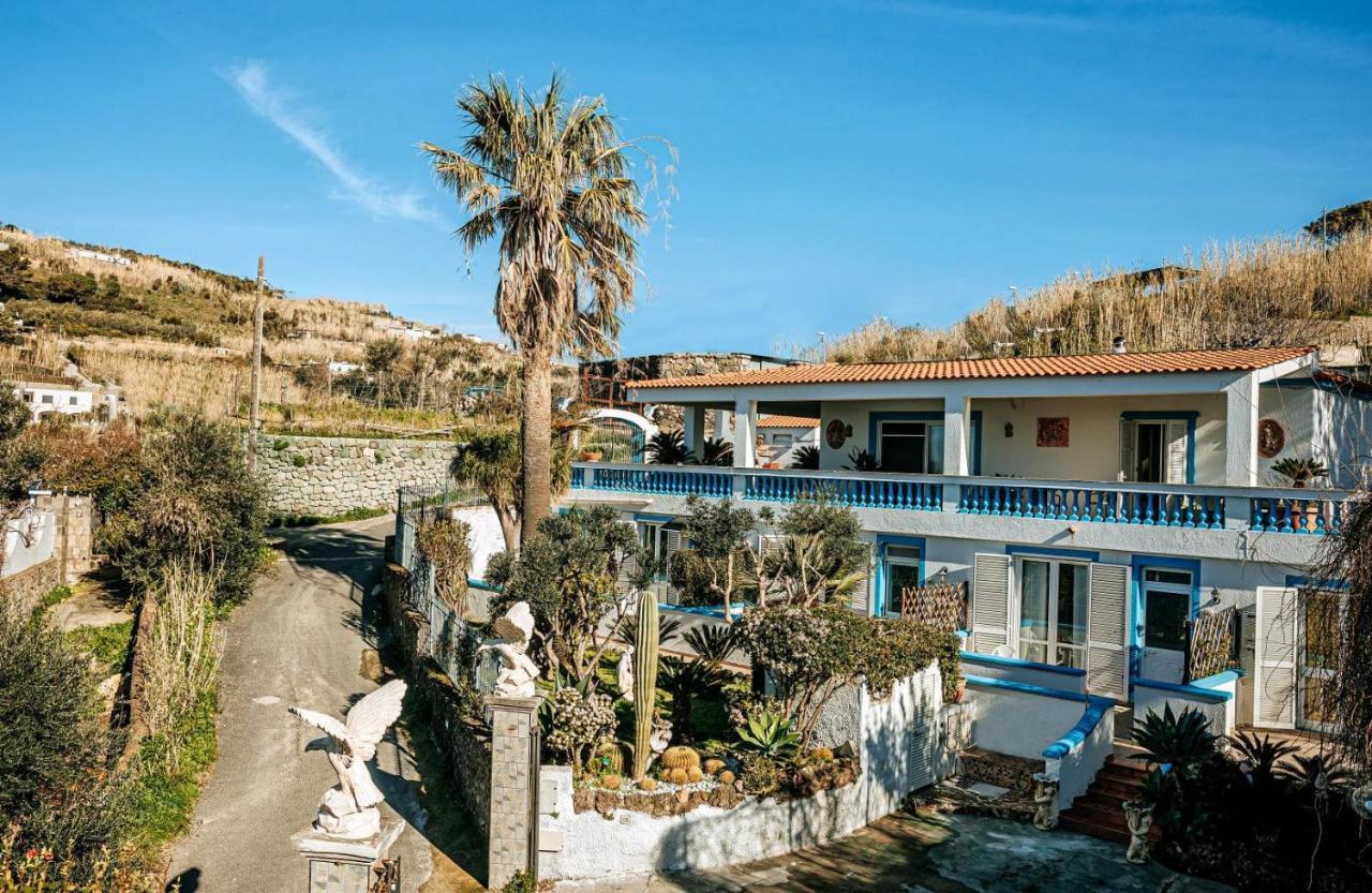 Appartamenti Ischia Casa Don Peppe Forio di Ischia Zewnętrze zdjęcie